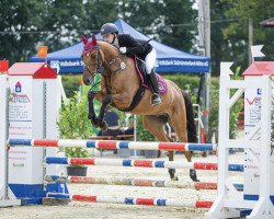 Springpferd Hille`s Cracker Lw (Deutsches Reitpony, 2014, von Kastanienhof Cockney Cracker)