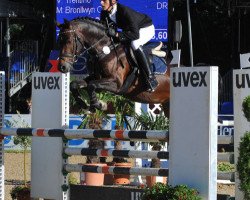 Springpferd Theo Jackson (Deutsches Reitpony, 2007, von Trentino)