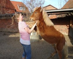 horse Mischa vom Purnitzgrund (Shetland Pony, 2011, from Mister Milano PrH*)