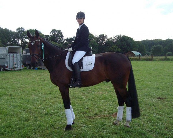 dressage horse Deep Emotion (Hanoverian, 2002, from Don Bosco)