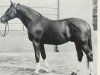 stallion Welf (Hanoverian, 1948, from Freiherr I)