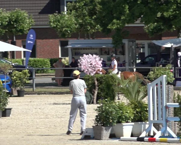 Rheinische Meisterschaften (Langenfeld) 2022
