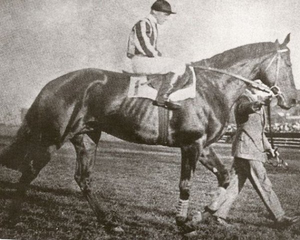 stallion Aditi xx (Thoroughbred, 1922, from Dark Ronald xx)