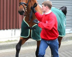 stallion Hengst von Cassini II / Caretino (Holsteiner, 2010, from Cassini II)