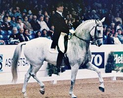 horse Graf George (Hanoverian, 1984, from Graphit)