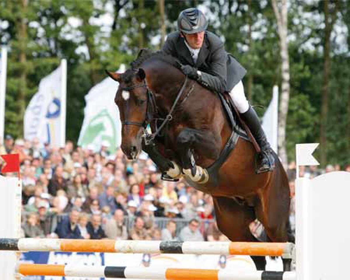 stallion Conte Bellini (Westphalian, 2003, from Cornet Obolensky)