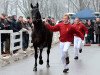 dressage horse Discosimo (Württemberger, 2008, from Diamond Hit)