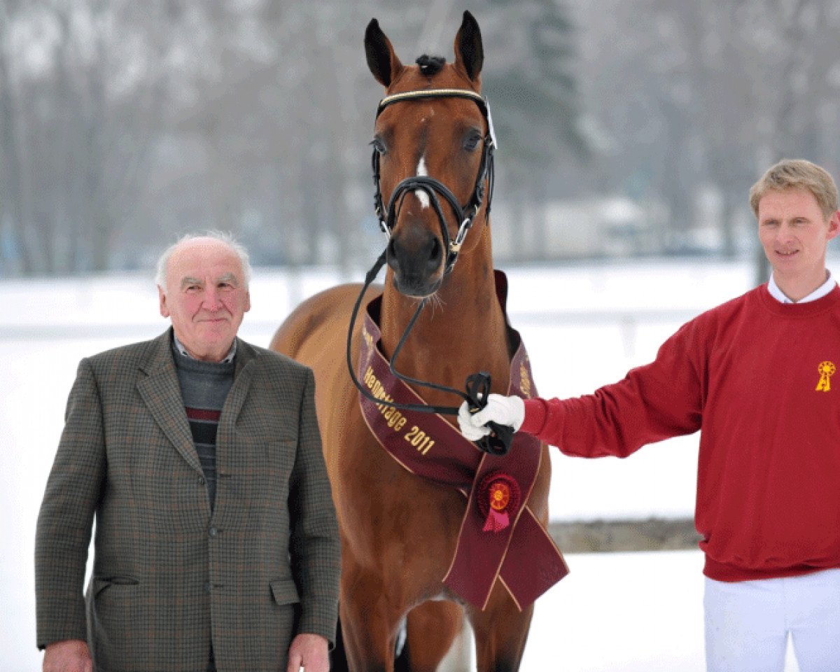 Deckhengst Captain Kirk (Bayer, 2008, von Captain Fire)
