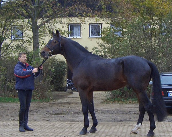 stallion Frühlingsbote (Westphalian, 1984, from Frühlingsball)