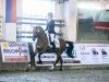 dressage horse On Top 8 (German Riding Pony, 2017, from Grenzhoehes Olivier K WE)