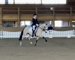 dressage horse Mia Maj (German Riding Pony, 2010, from Temptation)