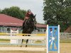 dressage horse Mirabella 17 (Oldenburg, 2003, from Sir Oldenburg)