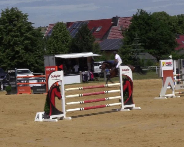 Reitturnier Dingelstädt 2022