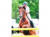 jumper Romualdo (KWPN (Royal Dutch Sporthorse), 1998, from Kojak)