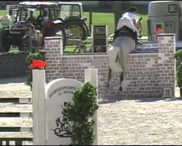 jumper Le Capule E (Holsteiner, 2002, from Loving Dancer)