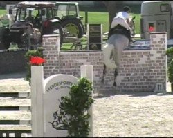 Springpferd Le Capule E (Holsteiner, 2002, von Loving Dancer)