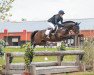 dressage horse Kalahari 27 (Trakehner, 2008, from Couracius)