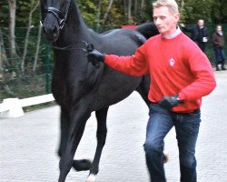 dressage horse L'Amour 104 (Westphalian, 2010, from L'espoir)