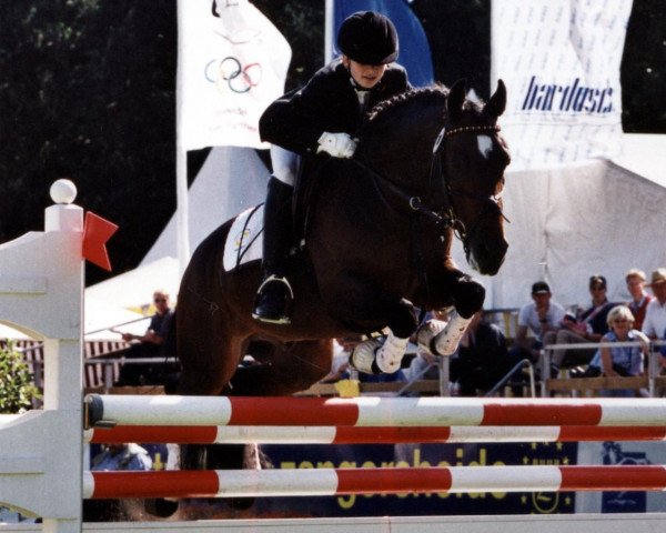 horse Bon Jovi 13 (German Riding Pony, 1993, from Bolero)