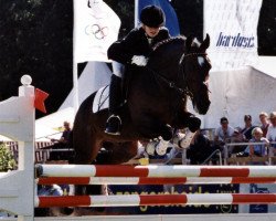 horse Bon Jovi 13 (German Riding Pony, 1993, from Bolero)