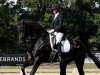 dressage horse Vancouver O (Westphalian, 2015, from Vitalis)