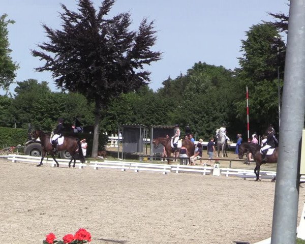 Reitturnier Fröndenberg 2022
