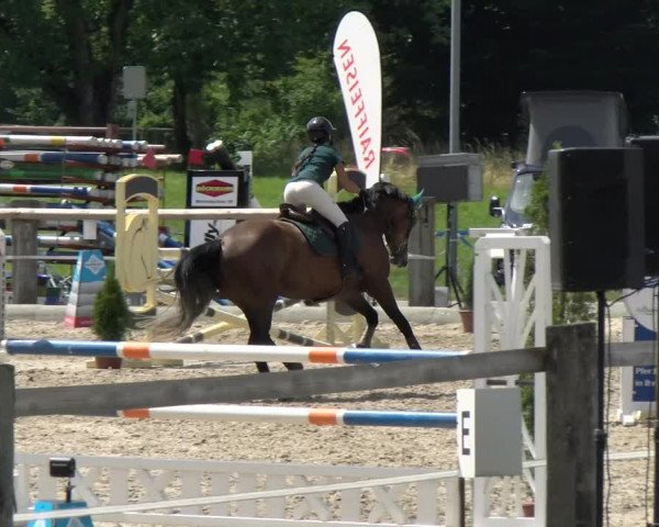 Reitturnier Sand-Schönbühl 2022