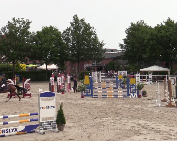 Reitturnier Lemwerder 2022
