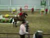 dressage horse Sir Pütti (Westphalian, 2010, from Son of Cologne)