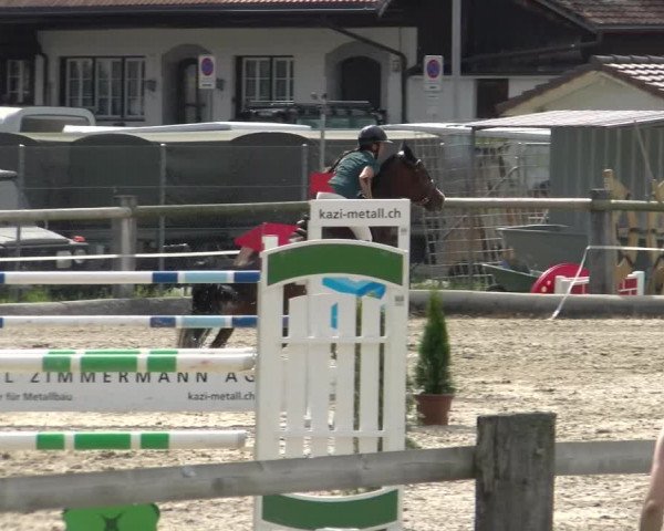 Reitturnier Sand-Schönbühl 2022