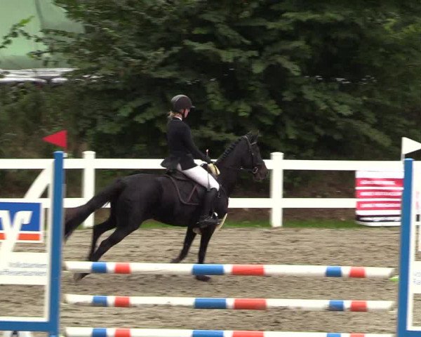 Springturnier Mildstedt 2021