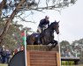 jumper Balmoral Henton (Hanoverian, 2007, from Contendro I)