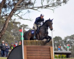 jumper Balmoral Henton (Hanoverian, 2007, from Contendro I)