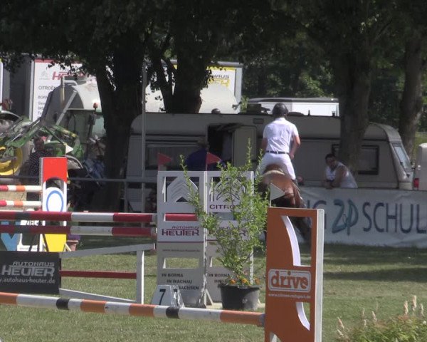 Reitturnier Reitstadion Löbnitz 2022