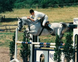 horse Granny 33 (Westphalian, 1989, from General I)