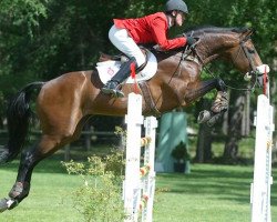 stallion Iolisco de Quinhon (Selle Français, 1996, from Olisco)