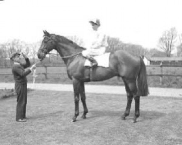 stallion Mighty Gurkha xx (Thoroughbred, 1959, from Gratitude xx)