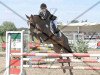 dressage horse Loki Z (Westphalian, 2006, from Lacordos)