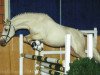 dressage horse Dumont BE (German Riding Pony, 2003, from Deinhard B)