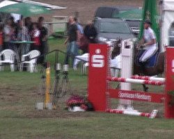 jumper Ready to fly B (Hanoverian, 2005, from Royaldik)