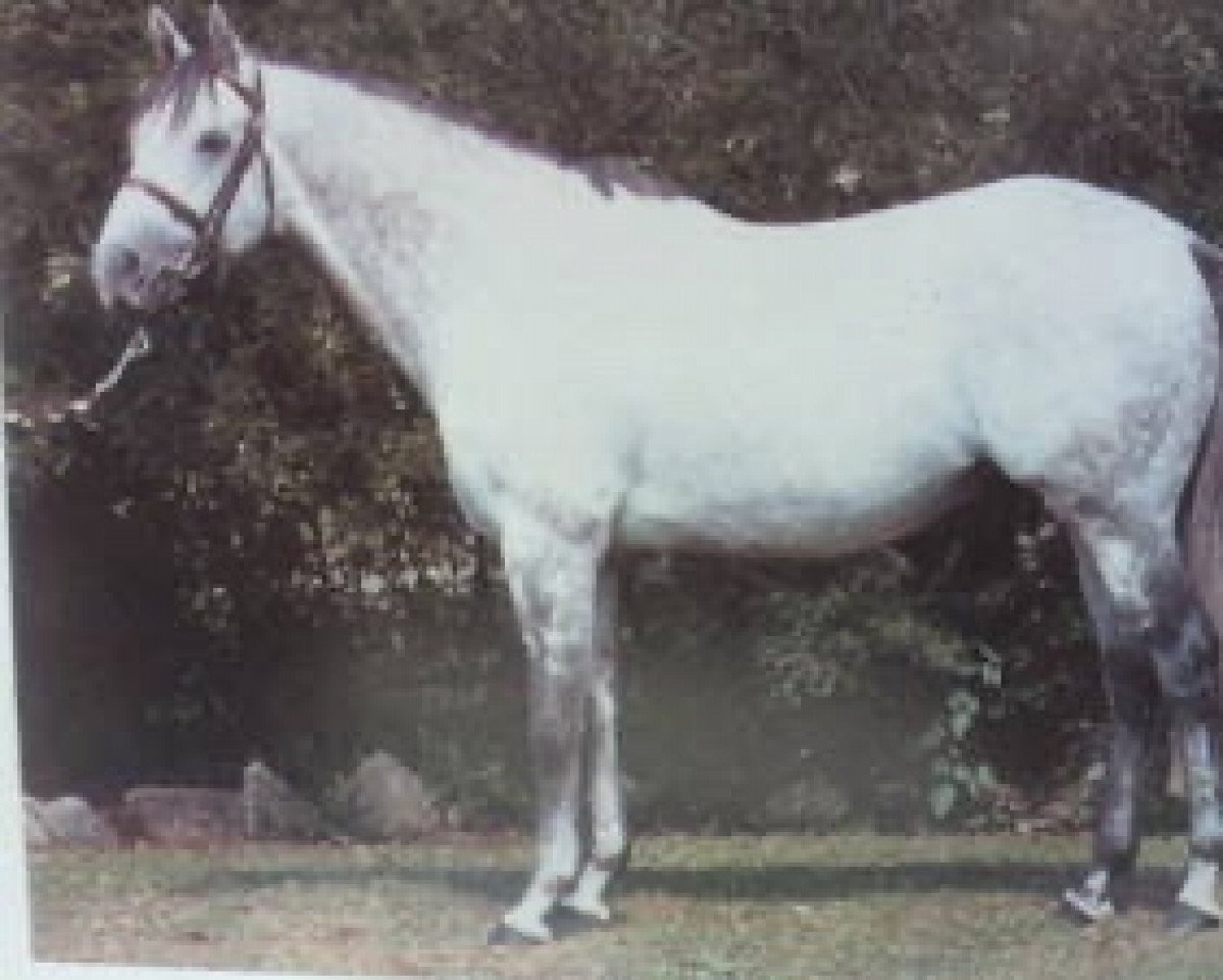 stallion Telereign xx (Thoroughbred, 1976, from Sovereign Edition xx)