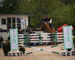 jumper Strohpuppe (German Sport Horse, 2010, from Stalypso)