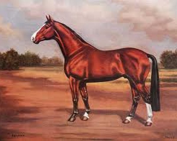 stallion Aarstein (Westphalian, 1960, from Aar)