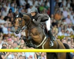 broodmare Jubilee D’ouilly (Selle Français, 1997, from Palestro II)