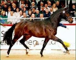 stallion River Dance (Oldenburg, 1996, from Rubinstein I)