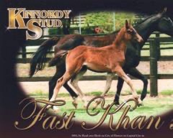broodmare Fast Khan xx (Thoroughbred, 1983, from Head Over Heels xx)