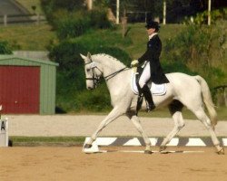 horse Kinnordy Gyron (Hanoverian, 2002, from Gymnastic Star)