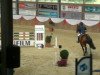 jumper Candiro (Holsteiner, 1999, from Candillo Z)