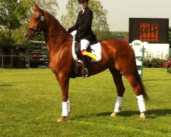 dressage horse Diandra (Rhinelander, 2001, from Don Bedo I)