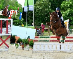 dressage horse Sandro D 2 (Hanoverian, 1997, from Salvano)